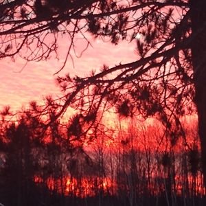 Open to offers! Cleaning out my closet, going to thrift store if not sold!